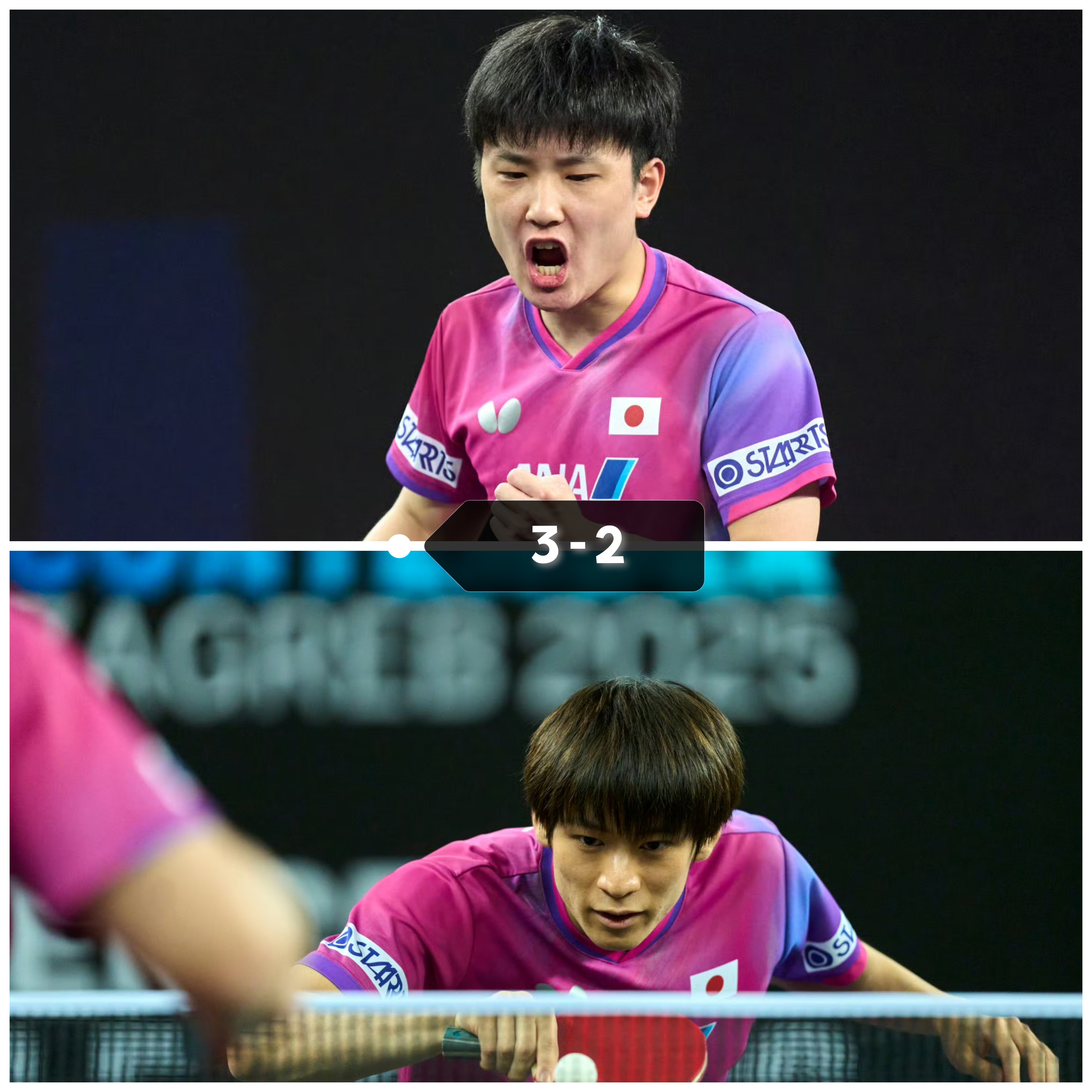 包含奥地利队力克日本队，张本智和带队取胜的词条